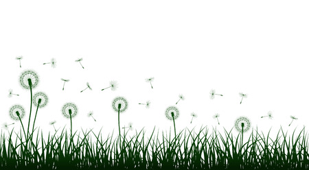 Green grass silhouettes with dandelion flowers, vector illustration.のイラスト素材
