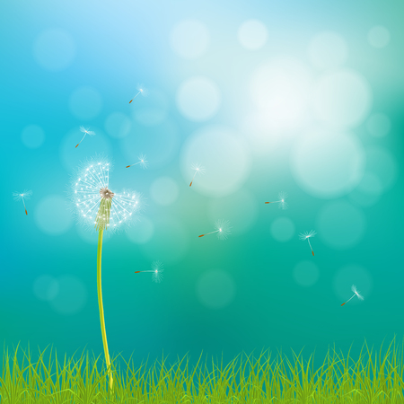 Abstract spring  background with dandelion flowers, seeds and grass, vector illustration.のイラスト素材