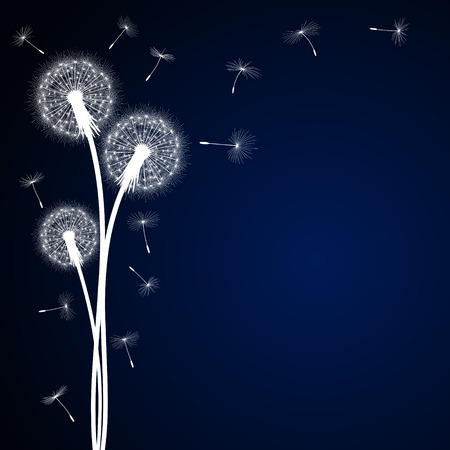 Abstract dark blue background with silhouette dandelion flowers and seeds, vector illustration.のイラスト素材