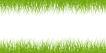 High quality green grass seamless border on white background, vector illustration.のイラスト素材