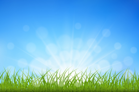Green grass against blue sky sunbeams and bokeh background, vector illustration.のイラスト素材