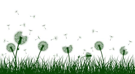 Green grass silhouettes with dandelion flowers, vector illustration.のイラスト素材