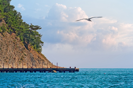 sea shore viewの写真素材