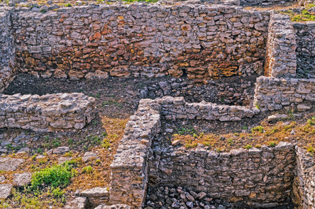 Archeological dig of the city of Tanais  founded in the first quarter of the 3rd century by Greek...