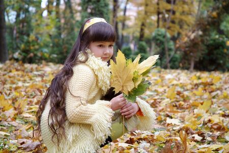 Little beautiful girl in autumn parkの写真素材