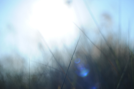 Nature sun flare background blur abstractの写真素材