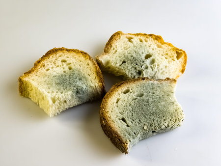 Three pieces of stale bread with mold. The surface of moldy bread. Spoiled bread with mold. Mold on...