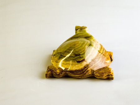 Onyx turtle bringing good luck on a white background. Close-up.の写真素材