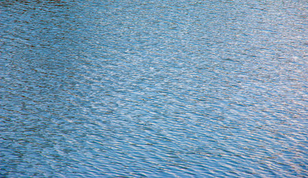 Water, ripple and nature with environment and lake, river or ocean with waves, calm and closeup....