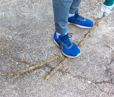 Male feet in blue sneakers break branch after pruning European larch. Gardening.の写真素材