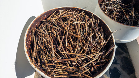 Antique shredder, wood chipper in Slovakia. In working condition. Close-up.の写真素材