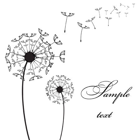 Graphic two dandelion on the wind vector pictureのイラスト素材