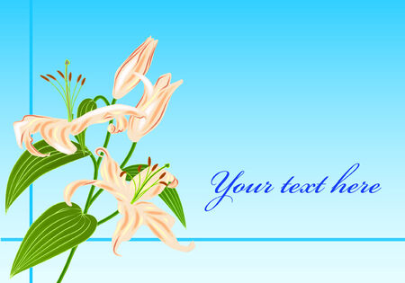 Branch with four lily flower and leaves and place for textのイラスト素材