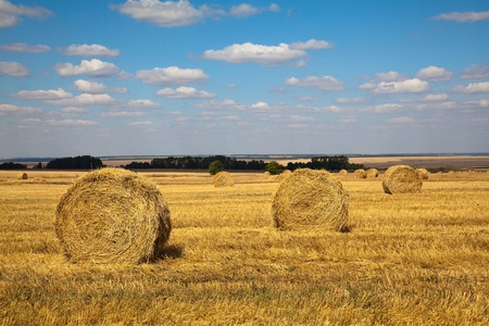 Landscape of field with haybales and sky with cloudsの写真素材