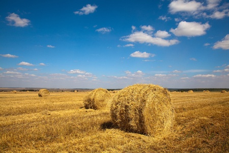 Landscape of field with haybales and sky with cloudsの写真素材