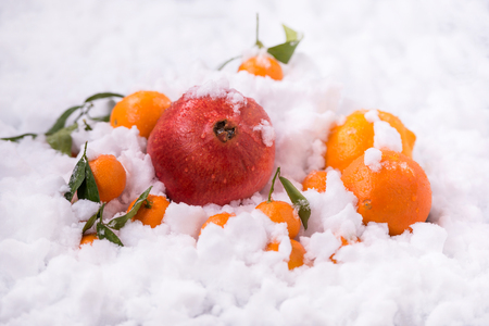 Orange and pomegranate fruits on snow backgroundの写真素材