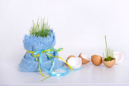 Easter decoration with eggs shell and young grass with copy space