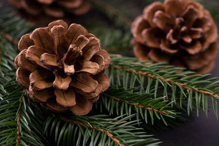 Christmas card and New Year concept. Post card for greetingsの写真素材