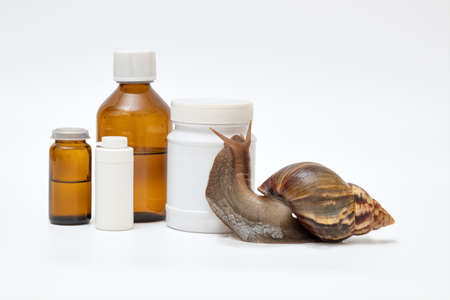 large snail Achatina crawling on a white jar, cosmetics with natural ingredients, snail slime for skin careの写真素材