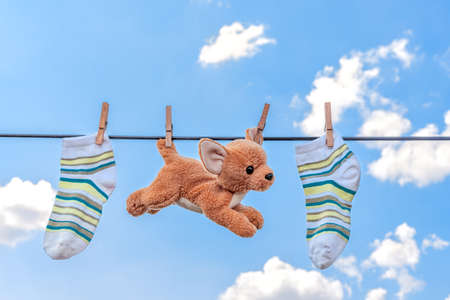 soft toy and striped socks dry on a clothesline against a blue sky with white clouds, laundry concept, clean clothes after washingの写真素材