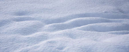 white, clean, fluffy snow, texture of the fallen snow, winter backgroundの写真素材