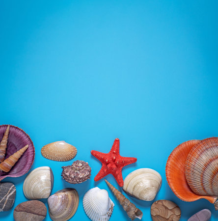 sea â€‹â€‹shells, red starfish, pebbles on a blue background, the concept of a summer...
