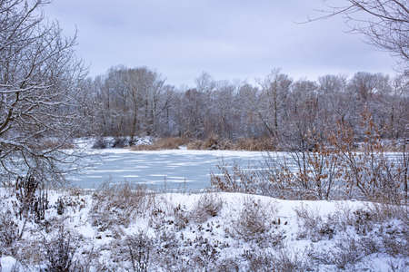 beautiful winter landscape, view of the ice-covered river and winter forest, winter forest after snowfall, January weatherの写真素材
