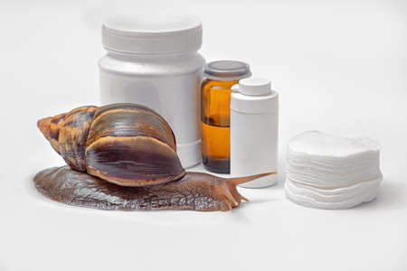 Achatina fulica, giant snail on a white background, cosmetic jars and cotton pads, the use of snails and their mucus in cosmetologyの写真素材