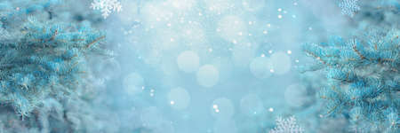 branches of blue spruce with snow and large snowflakes on a blurred background, new year and christmas banner, free space, mosk-up for design, place for textの写真素材