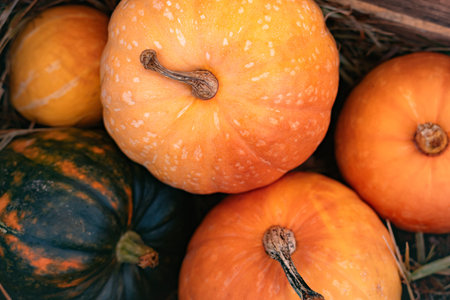 pumpkins at the farmers market, Harvesting and Thanksgiving concept.
