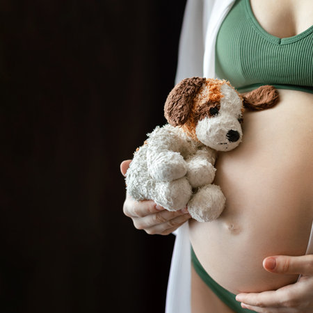 woman in the last trimester of pregnancy, prenatal screening, baby's heartbeat. Medical examination, tests and pregnancy supportの写真素材