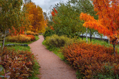 pathway through the autumn park, Autumn view of a path among trees covered with colorful leaves.の写真素材