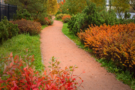 Autumn Leaves Park Landscape, a perspective of a path surrounded by beautiful autumn treesの写真素材