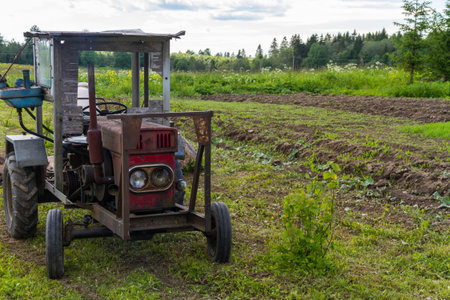 The old tractor works in the field in the summer.