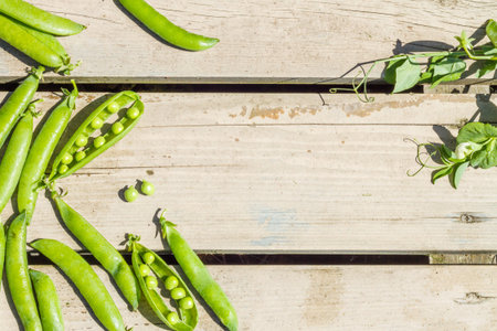 Pods of fresh green peas on an old wooden table.