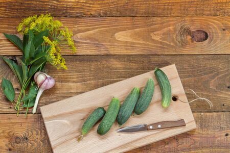 Small cucumbers with dill and garlic.の写真素材