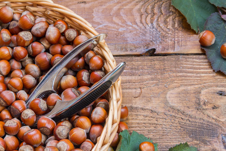 Hazelnuts in the basket on the wooden table.の写真素材