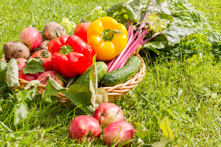 Fresh organic carrots, beet, potatoes, cucumbers, tomatoes, sweet peppers and apples in a round wattled basket.の写真素材