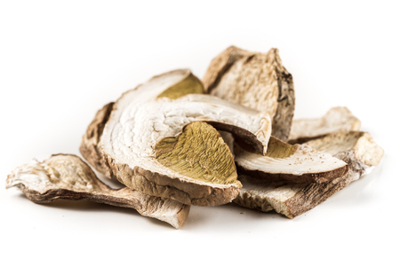 Wild edible dehydrated mushrooms on a white background.の写真素材