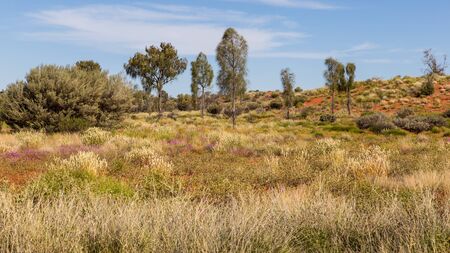 Road trip in Australian outback, Red Center, Australiaの写真素材