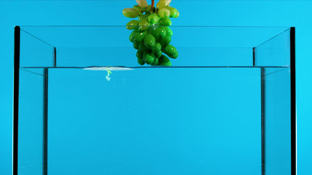 blue background in a small aquariumの写真素材