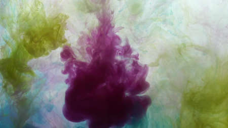 An explosion of colored paints in water on a white backgroundの写真素材