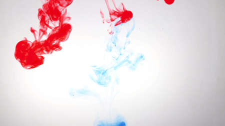 An explosion of colored paints in water on a white backgroundの写真素材