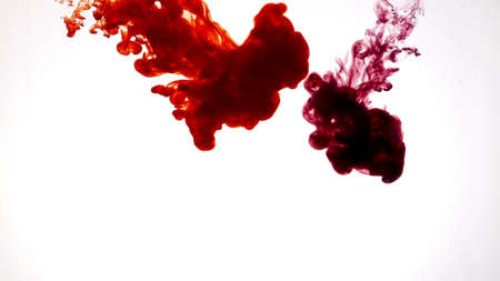 An explosion of colored paints in water on a white background.の写真素材