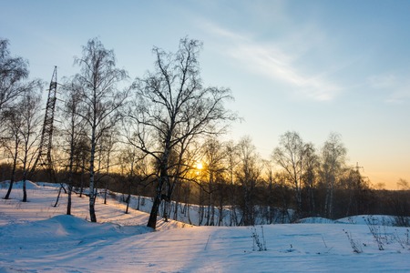 winter forest at sunset backlight sky with cloudsの写真素材