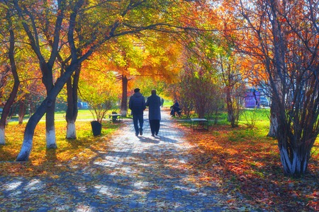 autumn Park with a footpath on a Sunny dayの写真素材