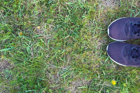 sneakers purple on the grass, top view.の写真素材