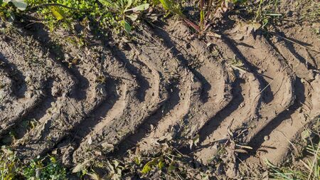 The traces of the tractor working on the large field.の写真素材