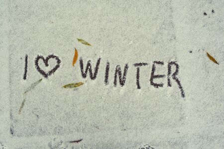 top view of various fallen yellow leaves, the first snow on a cold autumn day, words on the snow.の写真素材