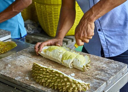 man cleans the market of exotic fruit durian in Thailandの写真素材